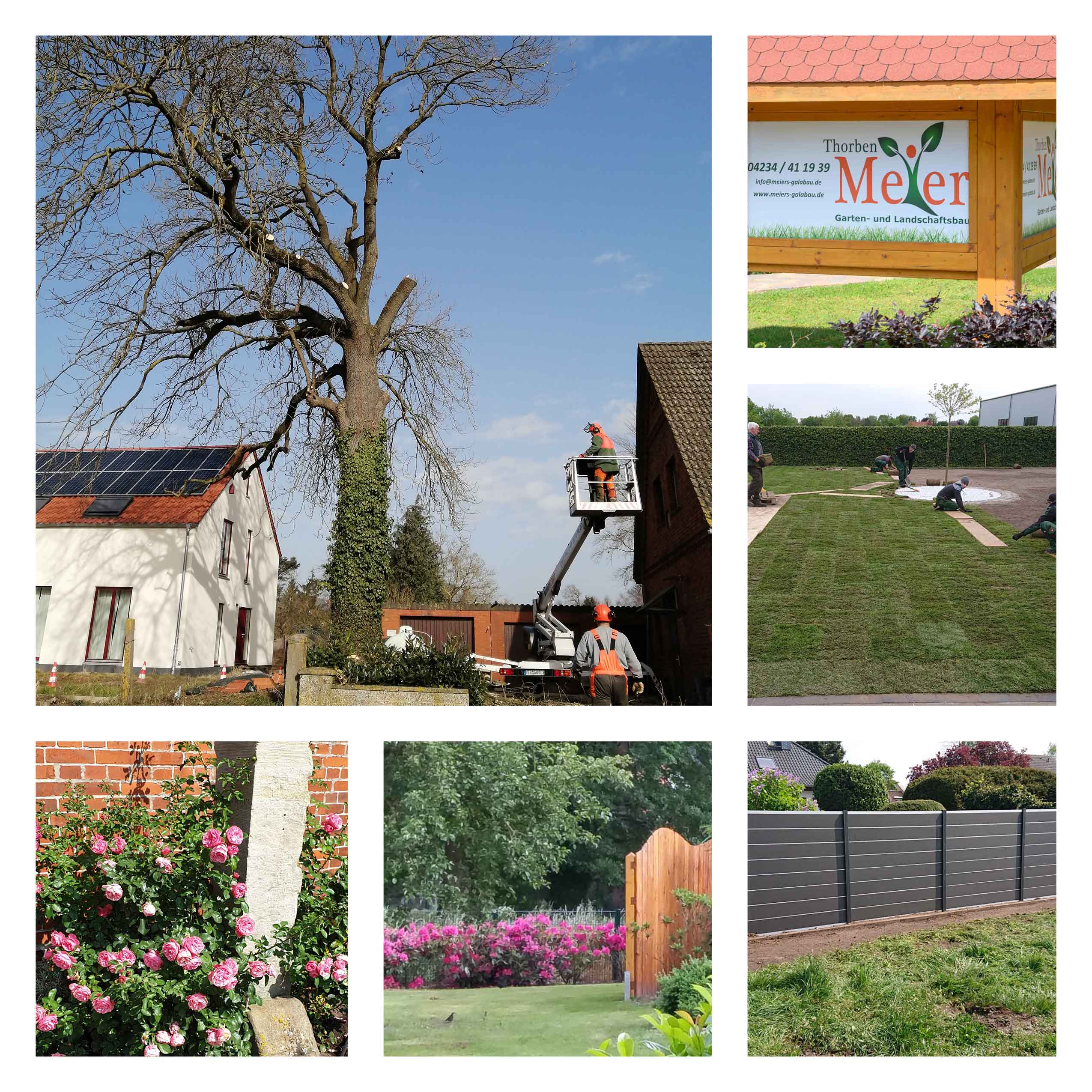 Thorben Meier Garten- und Landschaftsbau Thorben Meier Garten- und Landschaftsbau